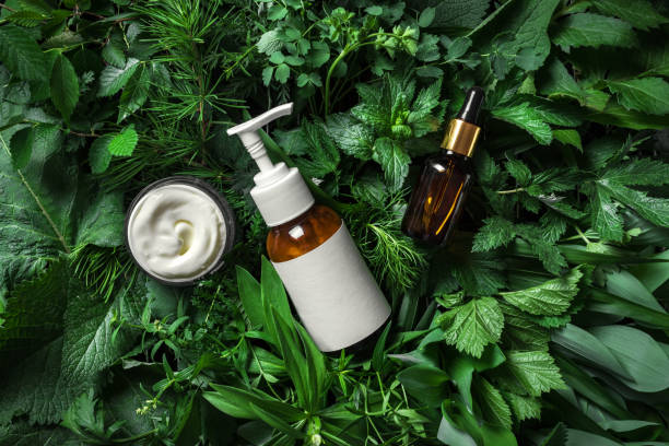 Natural Skincare Ingredients to Look For