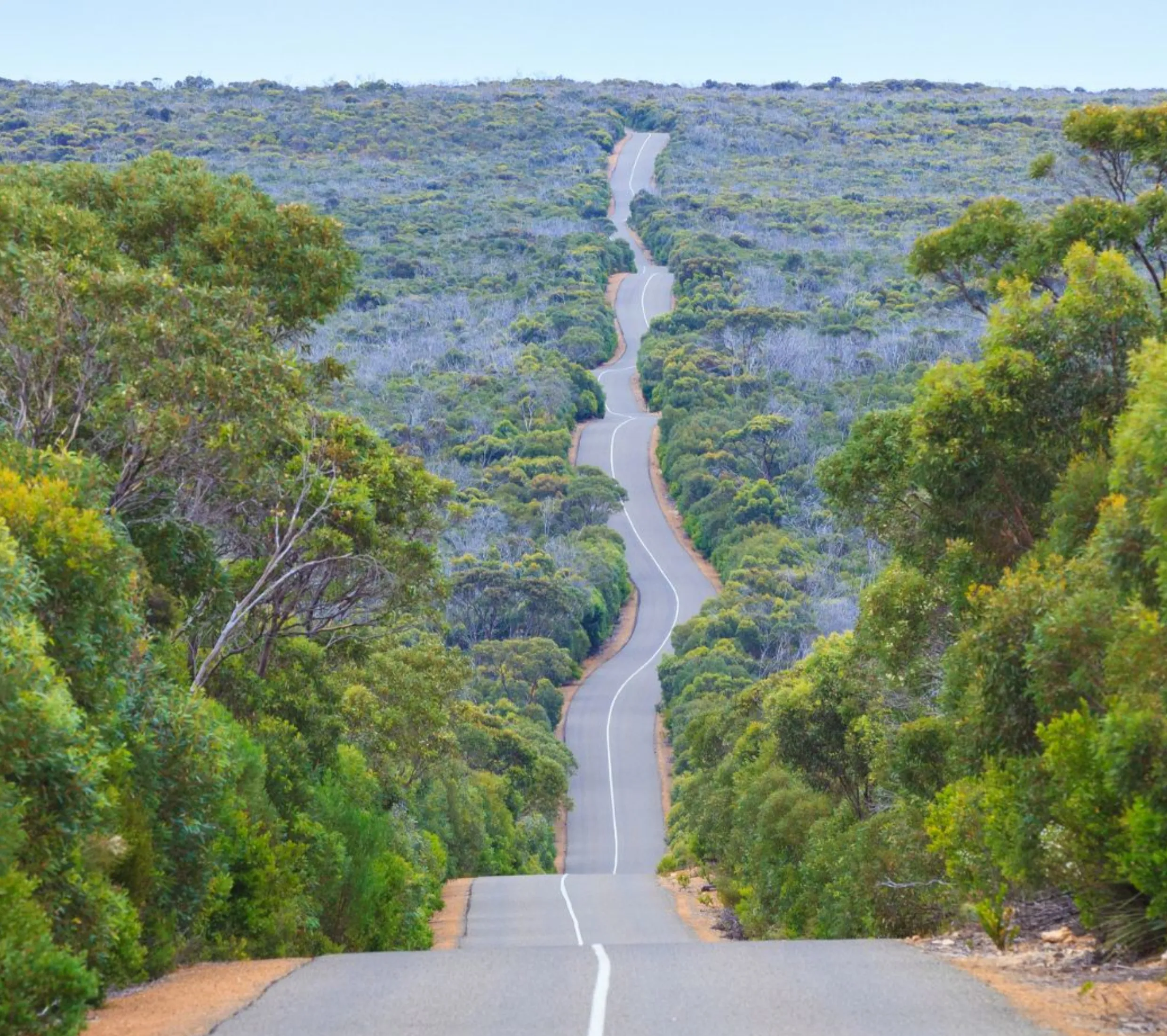 ferry vs guided tour Kangaroo Island