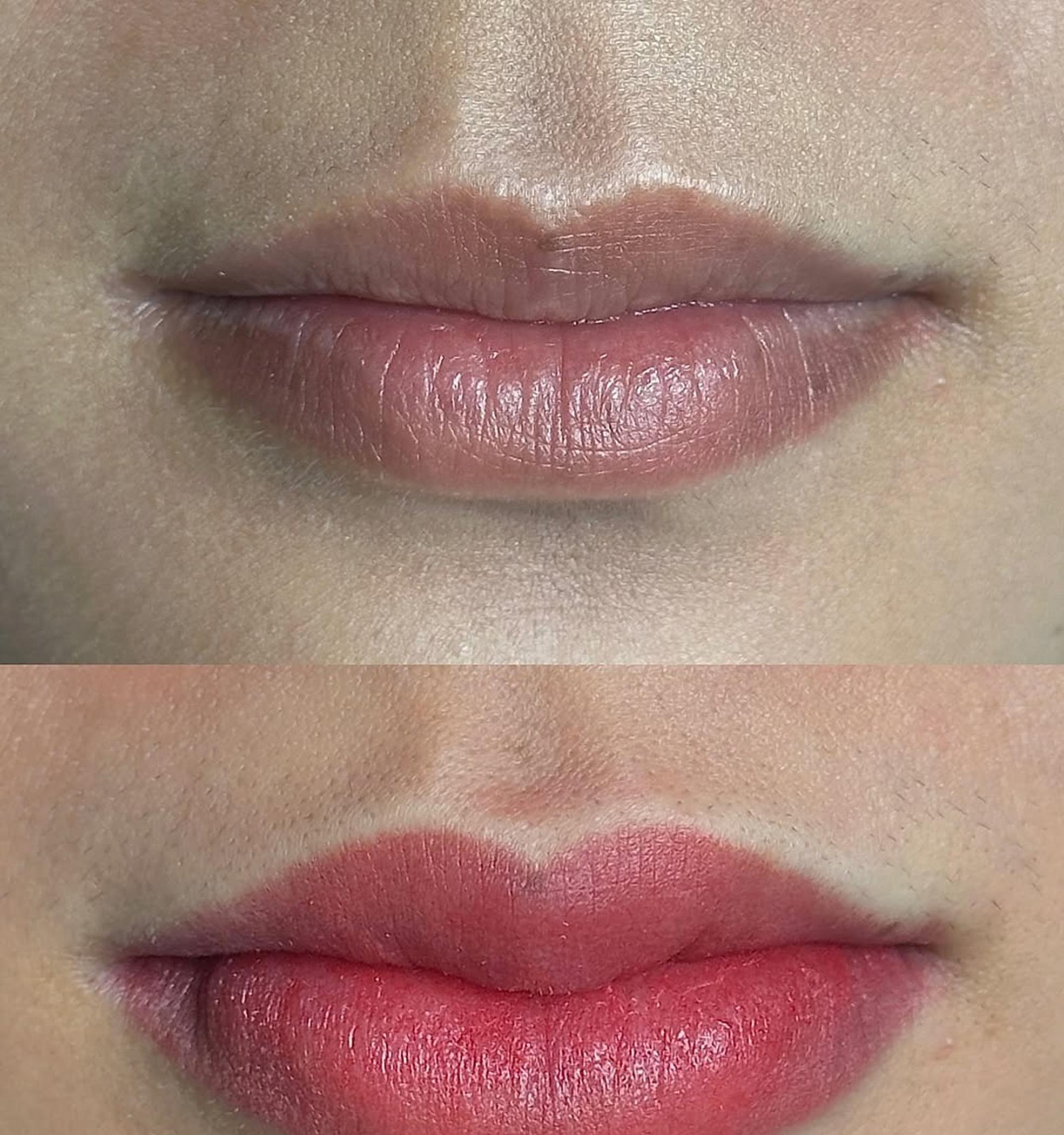 professional lip tattoo pigments palette